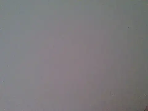 milk_sugar19 webcam