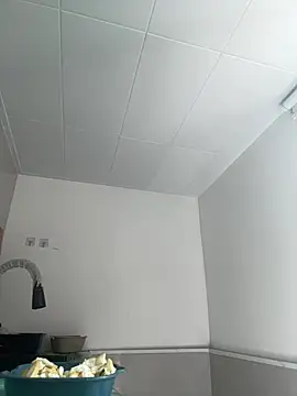 daaqnn webcam