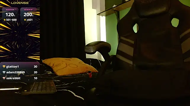 castle_87 live cam preview