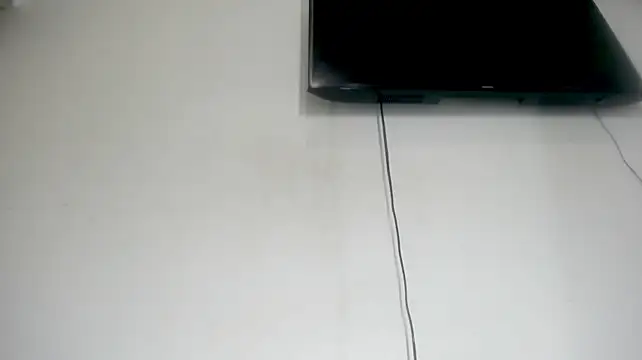 Fox_Loves
