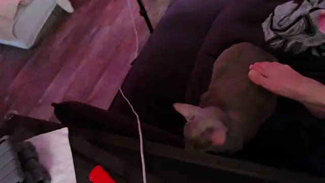 Hurricane_Kat