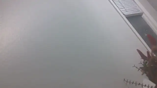 nastydianastrips
