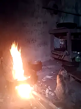 phuongtrinh1 webcam