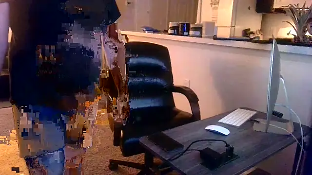 Q1357q webcam