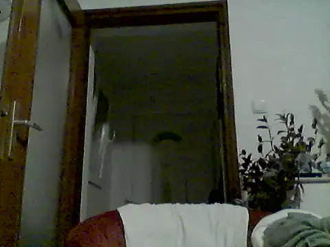 DalmatianCroatia webcam