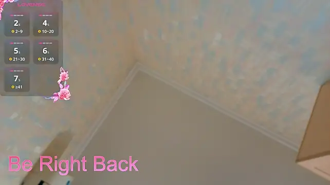 Animesworld webcam
