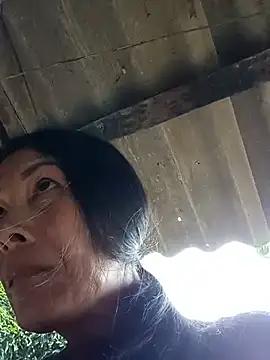toyo_668 webcam