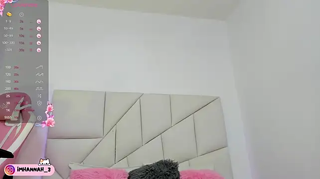 Imhann3 webcam