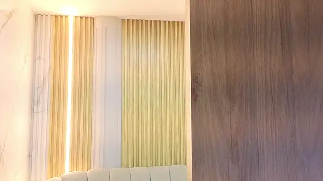 eivy_lilith_cn webcam