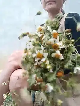 Linda-yiyi webcam