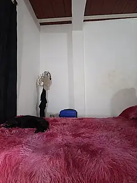 jaramilloali webcam