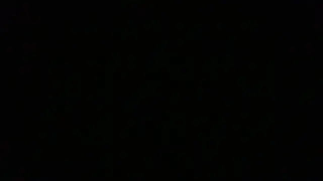 NuttyProfesir webcam