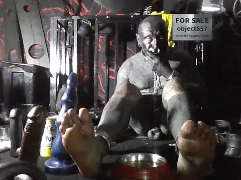wormobject webcam