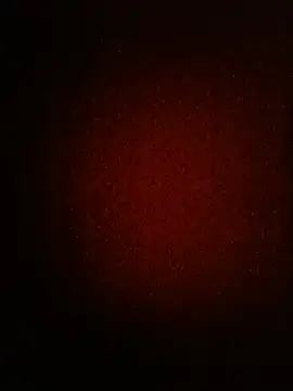 norha_nn webcam