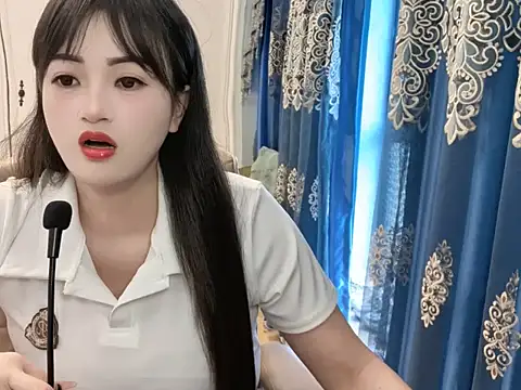 sjsibi webcam