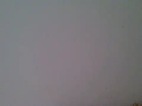 milk_sugar19 webcam