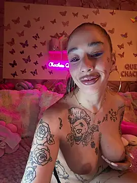 CHACHOULAND webcam