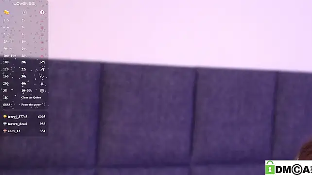 Noiry_Vuvez webcam