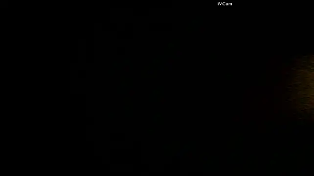 IncredibleRebound81 webcam