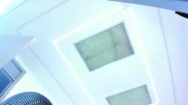 delarouss webcam