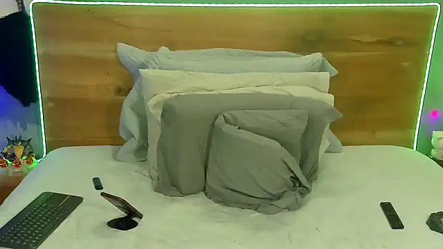 Prometeo-grizzly webcam