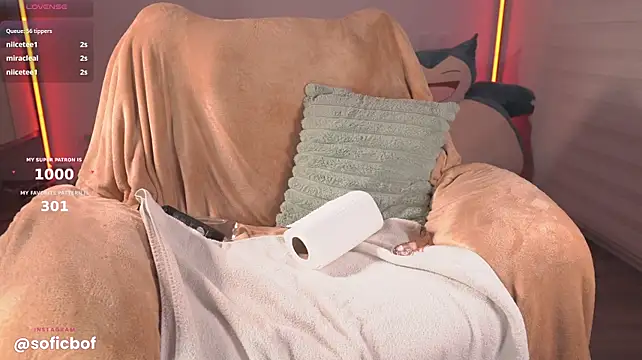 sofi_sc webcam