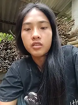 Hoa-tuylip