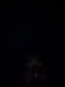 SqueakySoftener31 webcam