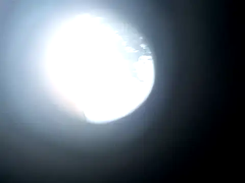 dustbunny64