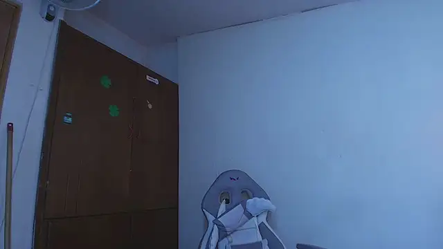 Mystical_meteor webcam