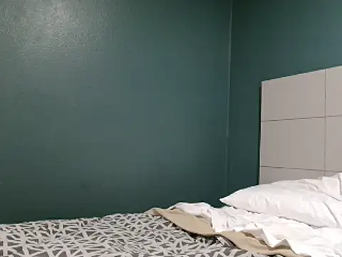 MasterIndigo webcam