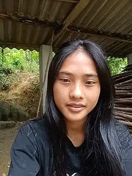 Hoa-tuylip webcam