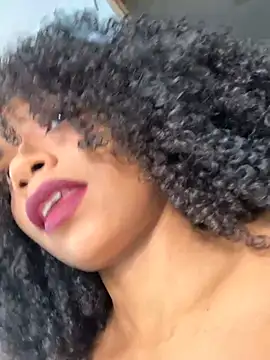 RENELL webcam