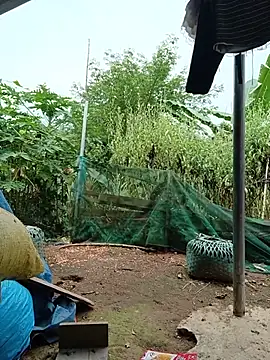 Thitay001