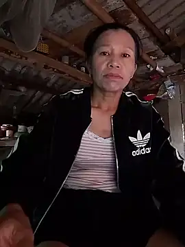 phinlinh webcam