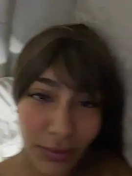Linarodri webcam