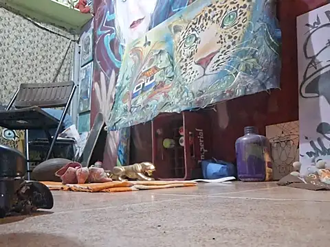 Toycockhot webcam