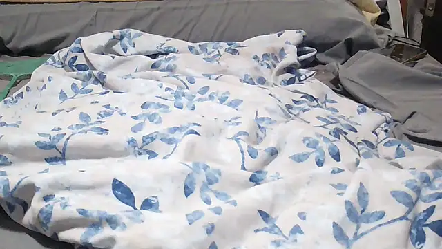 Pollagorda_34877 webcam