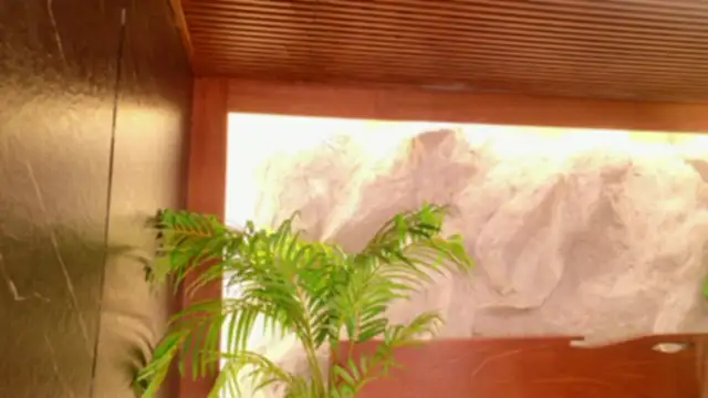 alisonn_moon webcam