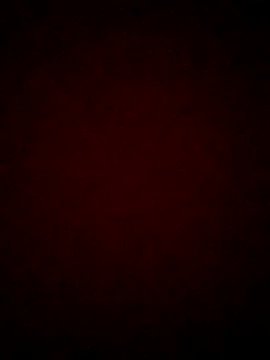Aalondraa webcam