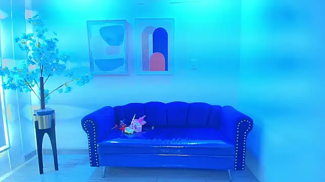 Silvana_lane webcam