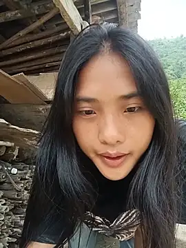 Hoa-tuylip