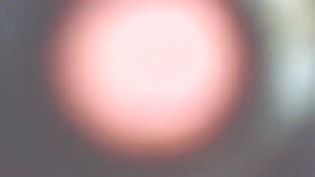 HungThickUncMax