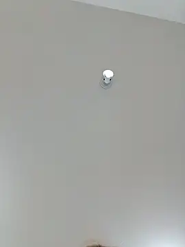 Laurinhasafad webcam