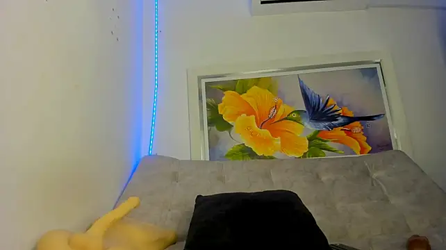 kaiagerbes3 live cam on StripChat