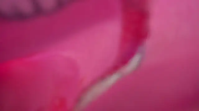 stephany_doll_ webcam