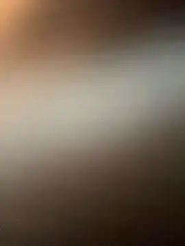 MerlinDave webcam