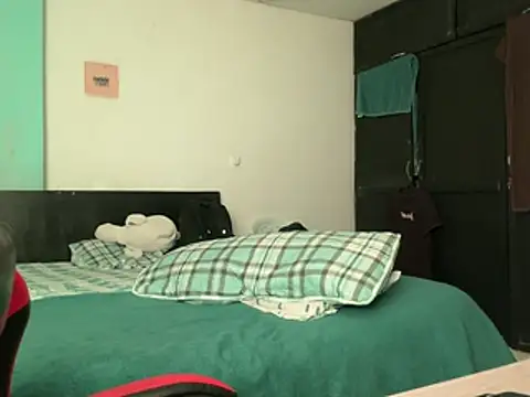 Im_Camii webcam