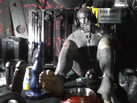 wormobject webcam