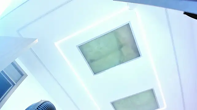 delarouss webcam